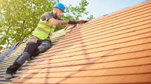 Best Roof Moss and Algae Removal  in Agoura Hills, CA