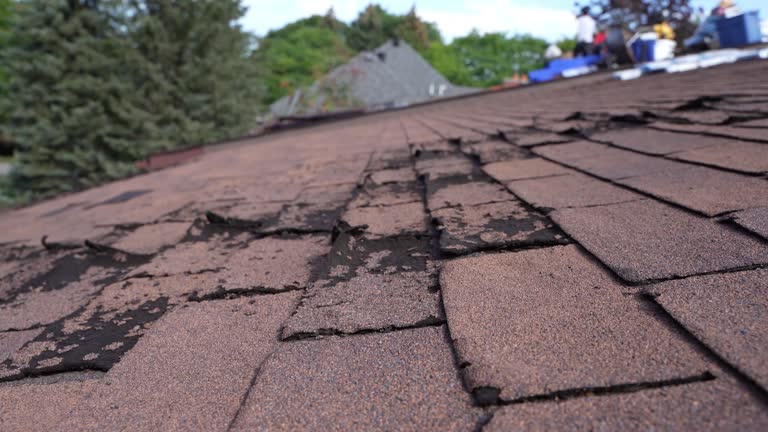 Agoura Hills, CA Roofing Services Company