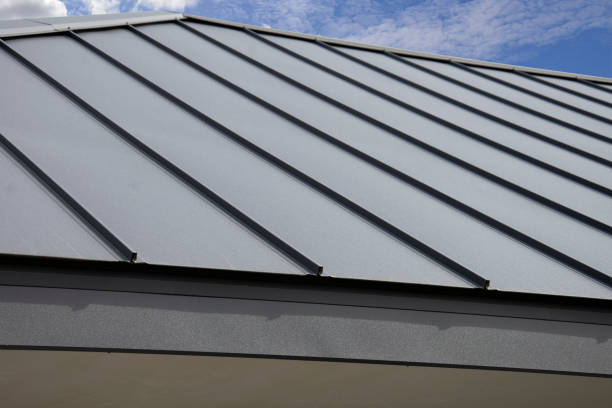Best Roof Maintenance and Cleaning  in Agoura Hills, CA